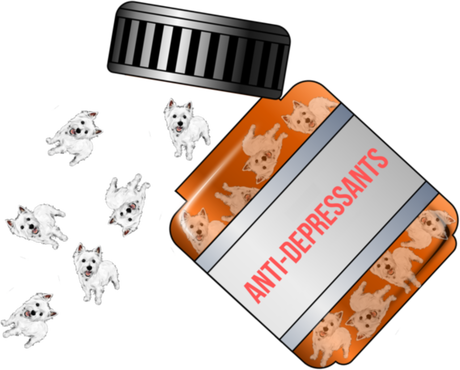 Nadruk Męska Westie Anti-Depressants - Przód