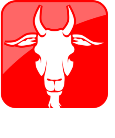 Nadruk męska - Koziorożec L - Przód