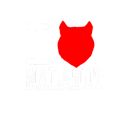 Nadruk I love Malamut - czarna - Przód